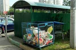 Росприроднадзор: в России на переработку уходит только около 7% мусора