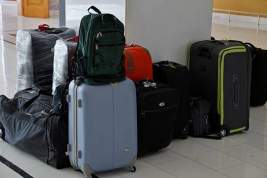 Россельхознадзор начал проверять багаж пассажиров из Азии вручную из-за коронавируса