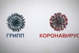 Российские ученые сравнили грипп и коронавирус