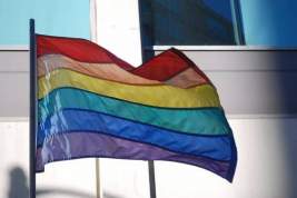 Российский омбудсмен предложила отслеживать пропаганду ЛГБТ в соцсетях
