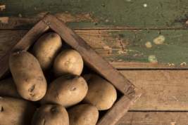 Россиян предупредили о росте цен на картофель
