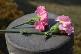 Россиянина задержали за поджог стихийного мемориала в память о жертвах теракта в «Крокус Сити Холле»