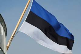 Руководитель эстонской разведки заподозрил Россию в намерении разрушить единство ЕС и НАТО