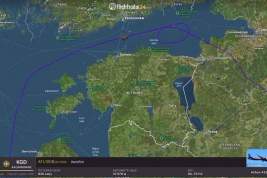 Самолет «Аэрофлота» проник в воздушное пространство Эстонии без разрешения