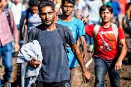 Сербия возмущена наплывом мигрантов из Хорватии и Венгрии