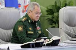 Сергей Шойгу назвал сроки создания в России резервной армии