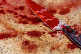 Школьница изрезала ножом собственную мать