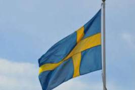 Швеция пригласила наблюдателей из РФ на военные учения Aurora-2017