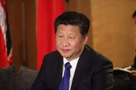 Си Цзиньпин назвал отношения России и Китая более зрелыми
