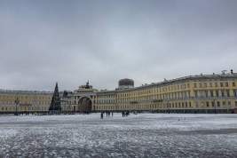 СКР проверит информацию о задержании 2000 мигрантов в Санкт-Петербурге