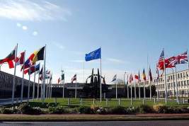 СМИ пишут о коллективном призыве союзников по НАТО к США не выходить из ДОН