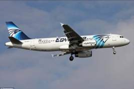 СМИ: эксперты нашли следы тротила на фрагментах авиалайнера А320 компании EgyptAir