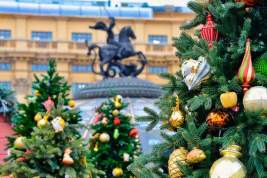 Собянин: Москвичи проголосуют за формат новогодних праздников на «Активном гражданине»