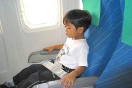 Совфед намерен запретить рассаживать детей и родителей в самолёте