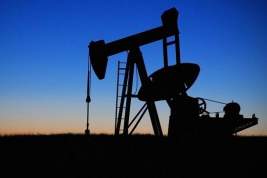 Раскрыты возможные потери России от нефтяных санкций