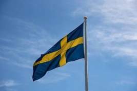 Стокгольм: членство Финляндии в НАТО без Швеции «не будет полным»