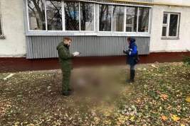 Суд в Москве арестовал «деда-расчленителя»