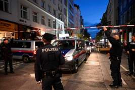 Террорист из Вены обманул австрийскую программу по дерадикализации