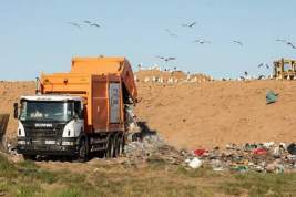 Тотальный контроль за мусоровозами установят в России в 2022 году