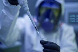 Турция отказались от закупки российской вакцины от коронавируса