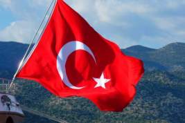 Турция предложила России восстановить воздушное сообщение с курортами