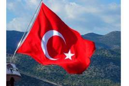 Турция уточнила количество задержанных по подозрению в связях с Гюленом