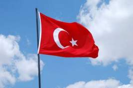 Турция задумалась об отмене обязательных ПЦР-тестов для россиян