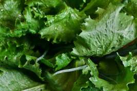 Ученые: Салат из пластиковых упаковок опасен для здоровья
