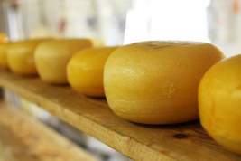 Ученые: сыр помогает в борьбе с онкологией