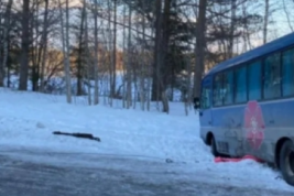 Уголовное дело возбудили после ДТП с автобусом в Карелии, где пострадали дети