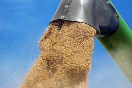 Украина хочет договориться с Польшей о транзите зерна