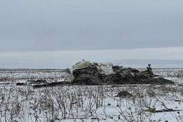 Украинские военные взяли на себя ответственность за уничтожение российского Ил-76 с пленными военнослужащими ВСУ