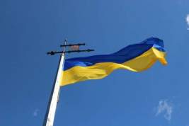 Украинский депутат назвал страну центром мировой торговли детьми