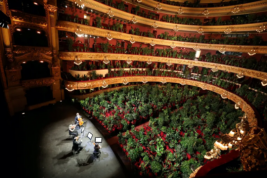 В Барселоне оперный театр устроил концерт для растений