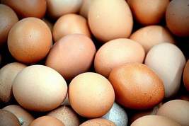 В Белгородской области ввели ограничения на продажу яиц
