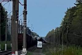 В Брянской области снова произошла диверсия на железной дороге: в результате подрыва путей с рельсов сошло 20 вагонов