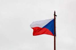 В Чехии возбудили 95 уголовных дел за поддержку спецоперации РФ на Украине