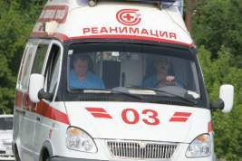 В Екатеринбурге реанимобиль обстреляли из пневматики