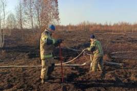 В Екатеринбурге ввели режим ЧС из-за дыма от торфяников