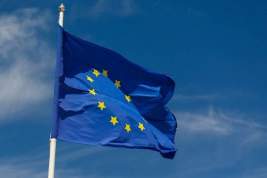 В ЕС рассказали об эффекте от санкций против Нигера