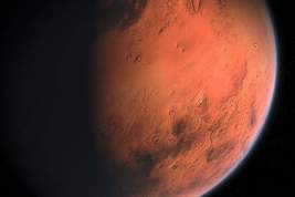 В Европе рассказали о замене «Роскосмоса» в миссии ExoMars
