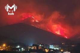 В Геленджике бушует мощный пожар: огонь охватил 118 гектаров