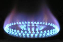 В Германии назвали нарушением контрактов оплату за газ в рублях