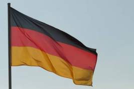 В Германии заявили о неспособности страны отказаться от российского газа