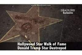 В Голливуде уничтожена звезда Трампа на Аллее славы