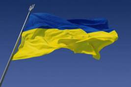 В Госдуме оценили заявление главы МИД Украины о борьбе с «российской агрессией»