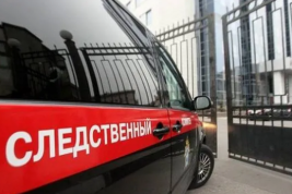 В Иркутске ребёнок скинул с окна кирпич и тяжело ранил девочку