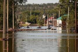 В Иркутской области на фоне стихийного бедствия может начаться эпидемия
