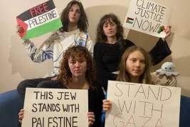 В Израиле уберут из школьных программ упоминания о Грете Тунберг: ее заподозрили в антисемитизме