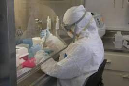 В Китае заявили о росте рисков пандемии «болезни X»